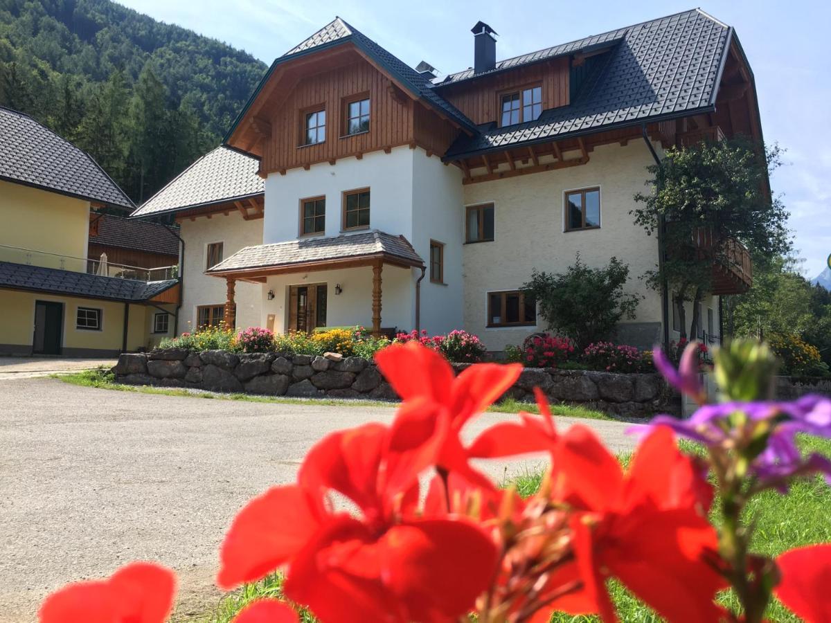 Ferienhof Rinnergut Hinterstoder Bagian luar foto